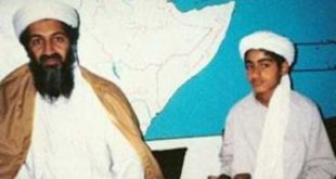 أسامة بن لادن ونجله حمزة
