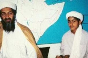 أسامة بن لادن ونجله حمزة