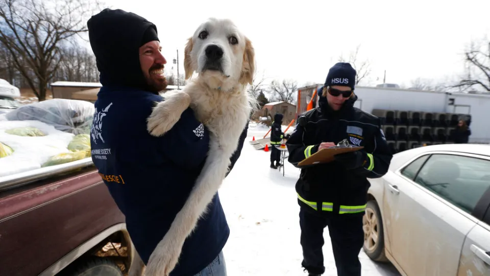 Animal Welfare Act Enforcement Failures Spark Action Animal Welfare Act Enforcement Failures Spark Action