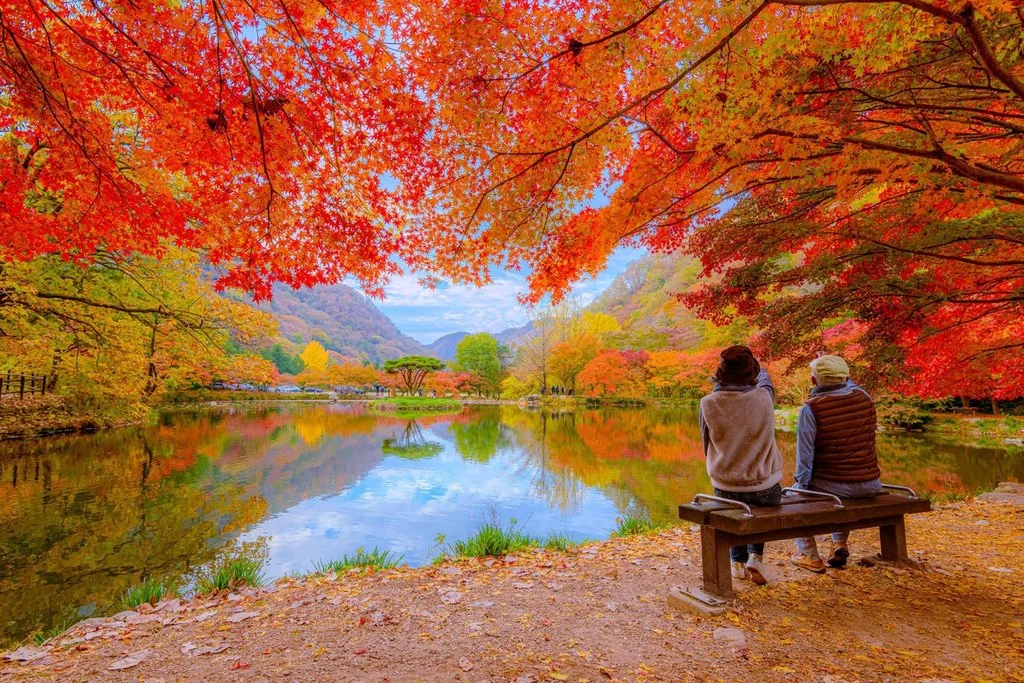 Autumn Travel Appeal Draws More Visitors Hanoi Autumn Travel Appeal Draws More Visitors